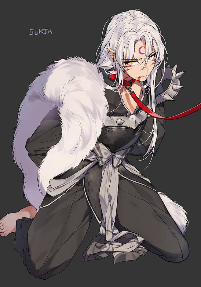 #犬夜叉# #殺生丸# SUKJA太太终...