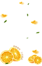 漂浮 橙子 装饰元素免抠png图片壁纸