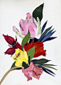 flower : Picture of flowers painted for illustration