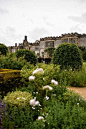 在英国德比郡，有一座现存保存最完整的中世纪宅邸——哈登庄园（Haddon Hall），它曾出现在《傲慢与偏见》、《另一个波琳家的女孩》等多部影片中。每到六月，蔷薇攀上石墙，有种历史深沉与花枝鲜活的交错美感。 ​​​​