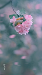 64941472ly1hc9uqirahoj20sg1ekn4c