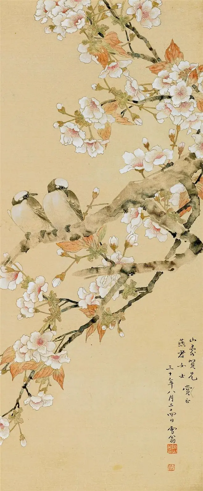 朝来带雨一枝春，国画里的梨花有多美 : 朝来带雨一枝春，国画里的梨花有多美-花瓣网