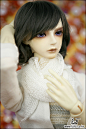 娃娃 Super Senior Delf CIRRUS : Korea Ball Jointed Doll Company