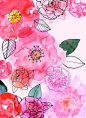 Margaret Berg : florals