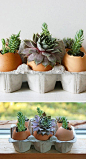 40个漂亮创意的DIY花盆作品