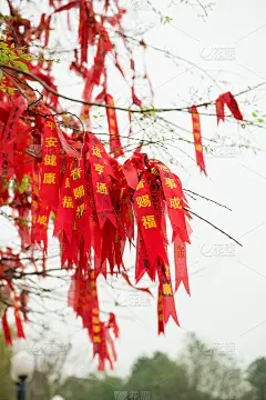 祝福树上挂着许多祝福丝带