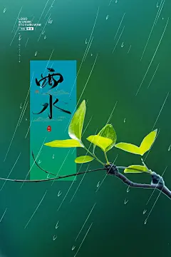 大气雨水节气宣传海报 39