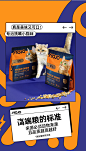 冻干猫粮颗粒_09.jpg