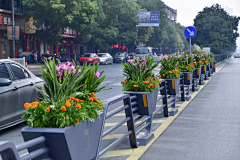 风满楼LY采集到道路景观