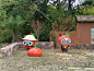 IMG_20220926_103749