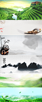 春茶清新茶叶茶园淘宝天猫海报banner背景图
