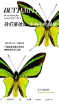 640?wx_fmt=jpeg&from=appmsg&tp=webp&wxfrom=5&wx_lazy=1&wx_co=1,337x599 像素