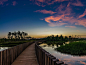 湿地晚霞 - 南方天空 - 图虫摄影网