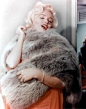 神仙姐姐的相册- Marilyn Monroe