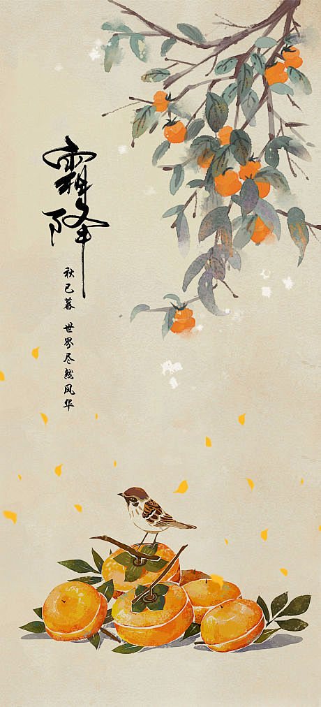 二十四节气霜降海报
