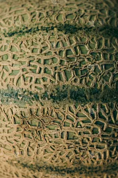 瓜,果皮,特写,纹理,健康食物,式样,抽象,有机食品,风景,平视角