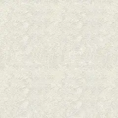 壁纸
