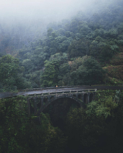 花香满庭园采集到风景，自然