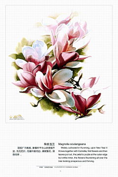 用户UFwOOkrf采集到药