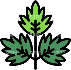 卡通香菜  - 源文件下载【酷图网】卡通香菜素材,香菜,香菜海报素材,香菜广告,蔬菜,宣传,香菜素材,香菜图片,香菜包装,美味,新鲜香菜,卡通香菜,插画,插图,免扣,素材,元素,矢量,卡通,手绘,手绘香菜,香菜标志,logo,简约,图案,图标,矢量香菜,卡通蔬菜,食物,香菜促销,叶子,菜叶子,菜叶,有机蔬菜,绿色蔬菜,卡通树叶,线稿,