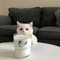 00