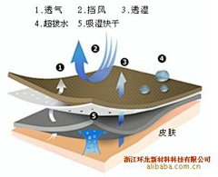 辣椒有点甜采集到素材