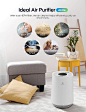 Amazon.com: Greenote Air Purifier for Home Bedroom, 22dB Quiet Air Cleaner, HEPA Filter Removal 99.97% of Ultrafine Particles, Eliminates Smoke, Dust, Pollen, Pet Dander, Cooking Smell, Aircle AP10: Home & Kitchen