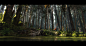 piotr-krynski-forest-b2