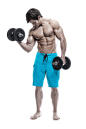 健身 男女 矢量 肌肉 其他元素免抠png图片壁纸