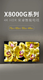 【索尼KD-65X8000G】索尼（SONY）KD-65X8000G 65英寸 4K超高清 HDR 智能网络 液晶平板电视 智能语音 安卓7.0 蓝牙/WiFi【行情 报价 价格 评测】-京东