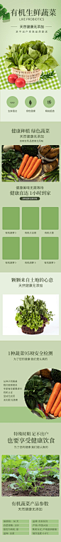 有机生鲜蔬菜手机版详情页-众图网