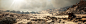 Embark desert biome demo, Pontus Ryman : The last environment test we posted was built to prove quality on a large scale, with big vistas and atmosphere. In this tech test, , we aimed to reach high visual fidelity on the small to mid-scale. We're starting