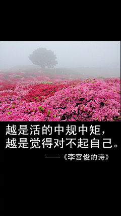 “千月”采集到灵感