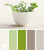 Carta de color SEDS, Fresh green