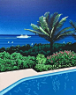 Instagram 用户海の波  : "Chill spot

・
・
・
・
・
 Hiroshi Nagai

#hiroshinagai #retrowave #art #tropical #pop #island #citypop #retro #anime #cartoon #japan #hawaii #vintage #popart #blue #sea #summertime #retroaesthetic #aesthetic #chillspot #summer #synth
