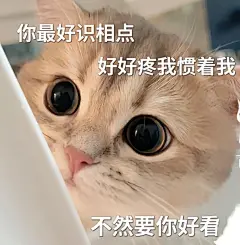 #猫咪表情包 #这个猫咪好上头 #当代女生养宠物现状 #发给对象表情包 #可可爱爱表情包 #它自己不知道自己可爱吧 #每日表情包分享 #聊天必备 #谁说猫猫没有表情的 #谁能拒绝傻憨憨的猫咪呢 - (2)
