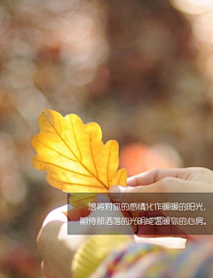 碧海的一枝采集到风·字
