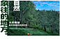 【新品上市】雨林古树茶 象往的地方 云南古树白茶小沱茶 60g-tmall.com天猫