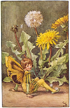 鹰眼龙雨采集到Cicely Mary Barker 画师