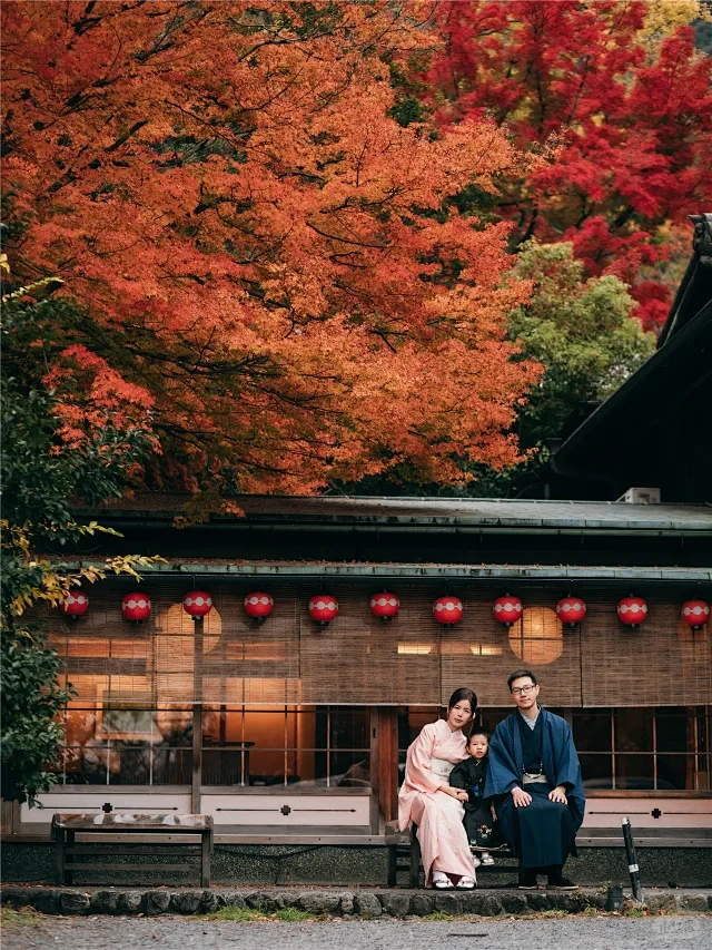 枫叶季日本旅游海报 - 小红书搜索-花瓣网