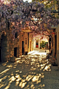 Spring, Chios, Greece