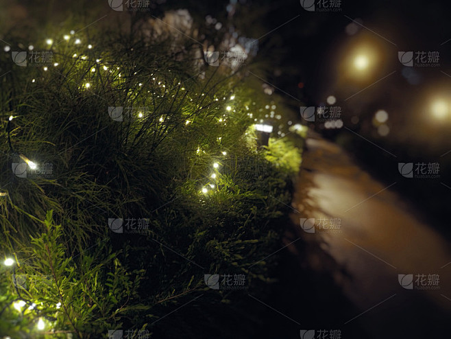 夜晚的灯光装饰沿着灌木丛