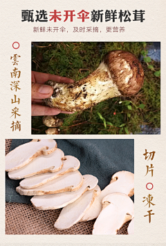 东哥hi采集到食物