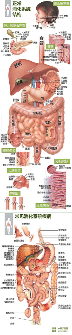 ┝H┥采集到健康