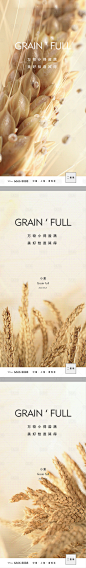 小满节气单图-源文件
