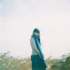 彼岸花❀采集到美文❀晨暮 等谁来相濡以沫。