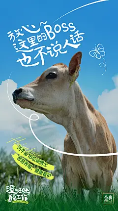 五四青年节海报合集，致敬追光的你 - 数英