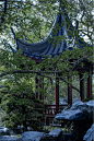 柏涛景观-深圳院子-01 (7).jpg