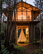 treehouse glasshouse: 1 thousand results found on Yandex Images