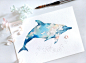 木龙蕾/绘 海豚 海洋 手绘 插画 水彩 水彩画